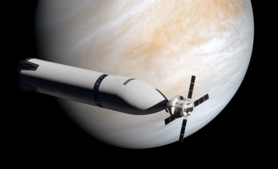 Space Koala tweet media