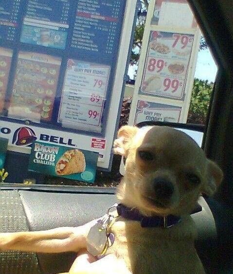 x - 𝙹𝚞𝚗𝚒𝚎 𝙱 𝙹𝚘𝚗𝚎𝚜 ❀ tweet media