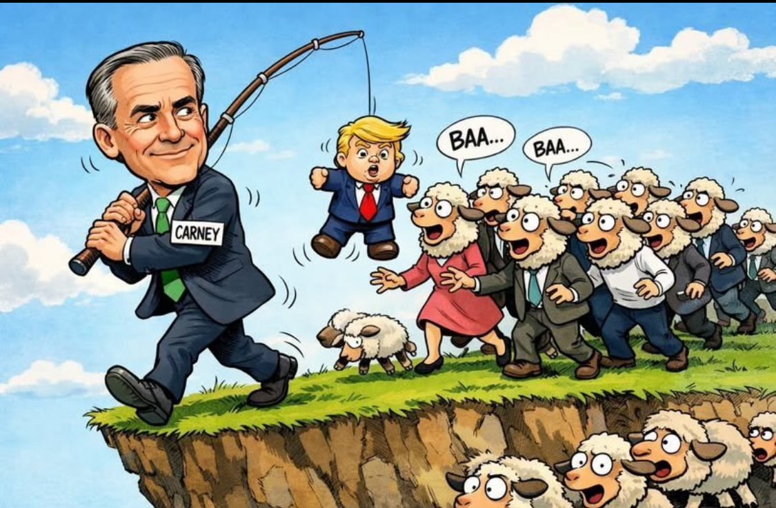 someone else tweet media