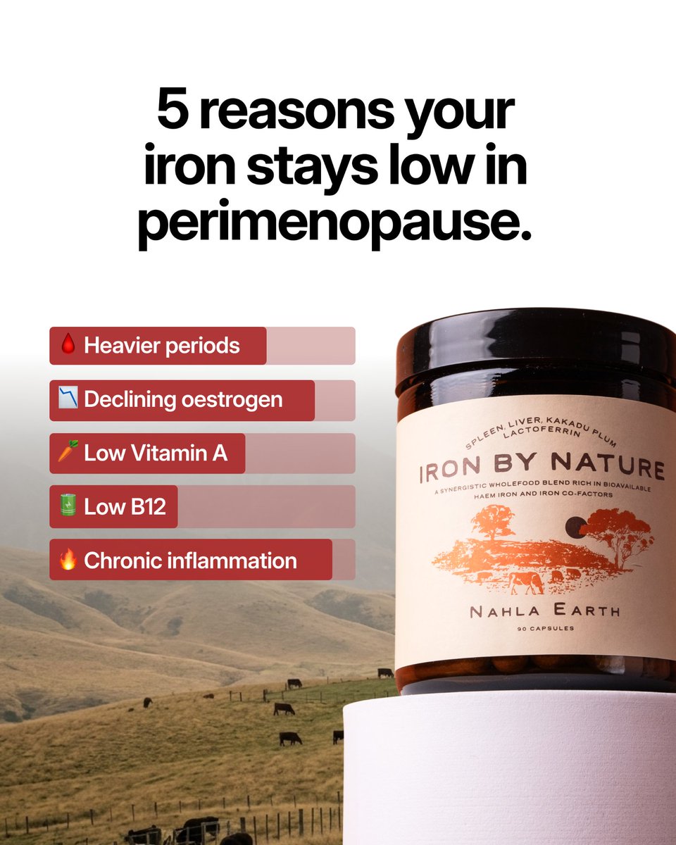 DATA INSIGHT: Creative Longevity: UGC ads scale 2x longer than studio ...