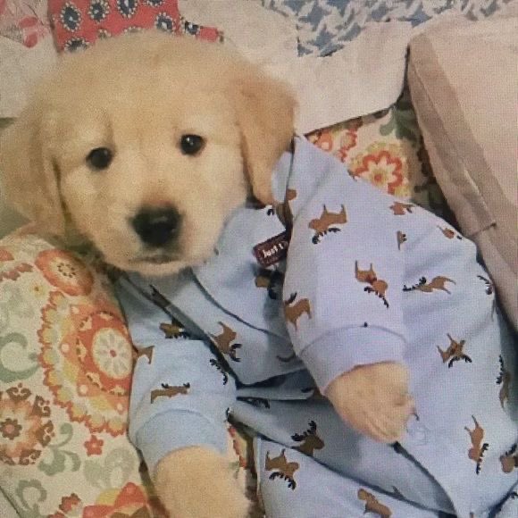 เดอะตุร tweet media