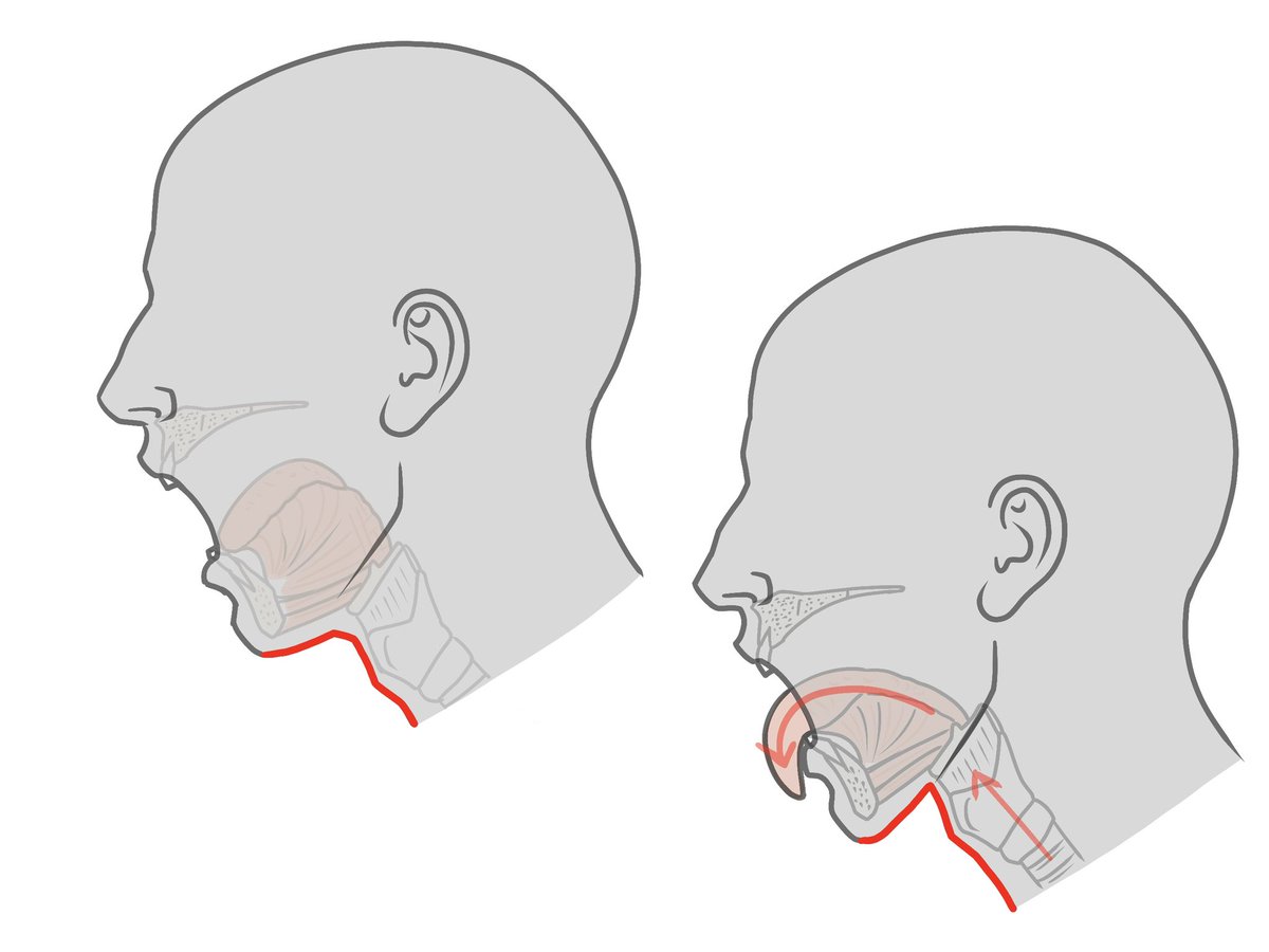 舌を伸ばすと顎の下面が上に引っ張られます。
