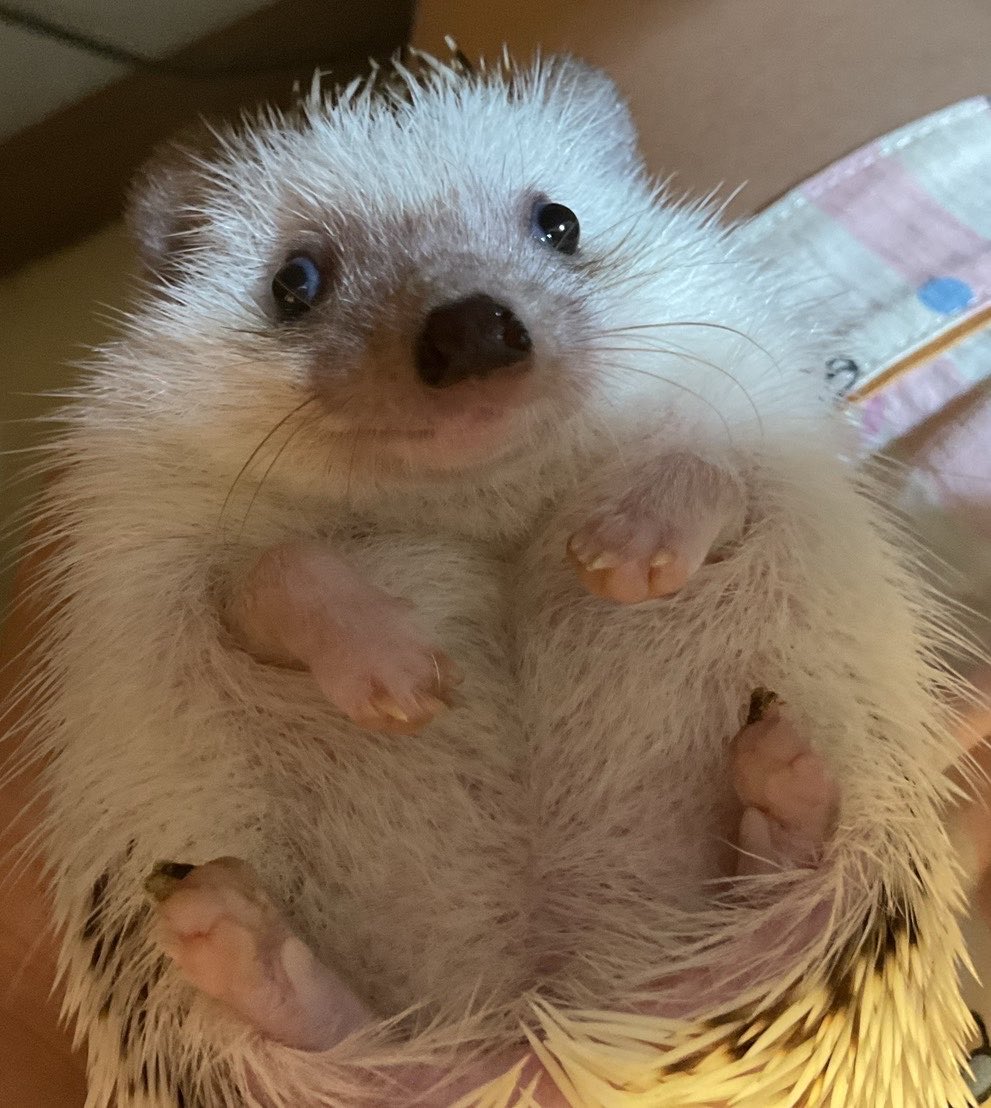 solar_kaze🌞🍃 tweet media