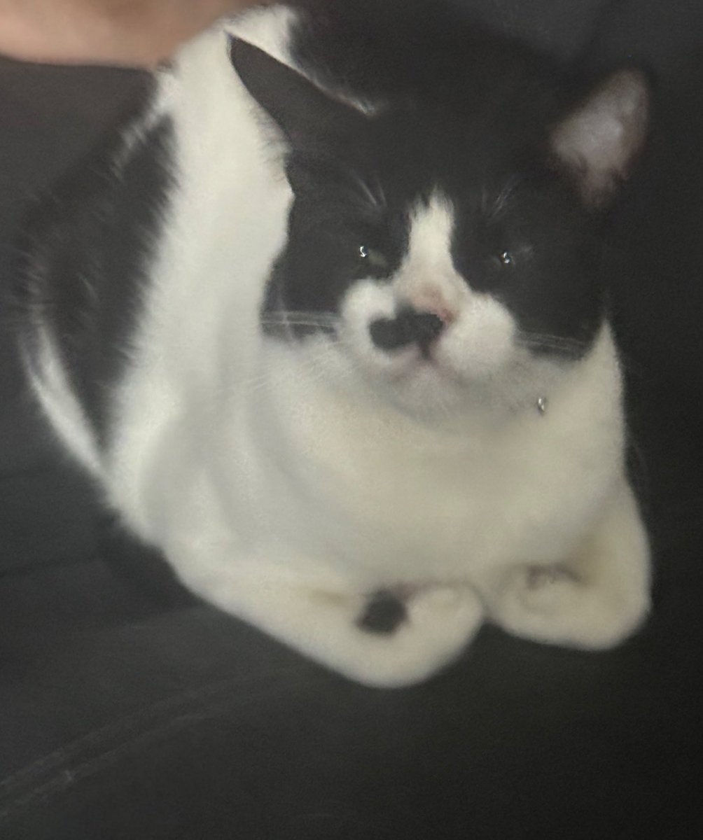 tsuki (shigadabi's gf REAL) tweet media