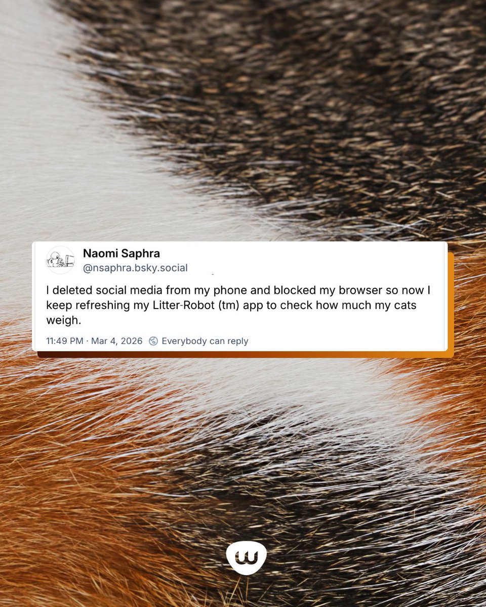 Litter_Robot's tweet image. This might be our favorite life hack yet... 🤭 

#LifeHack #LitterRobot #WhiskerApp #SocialMedia #CatParent