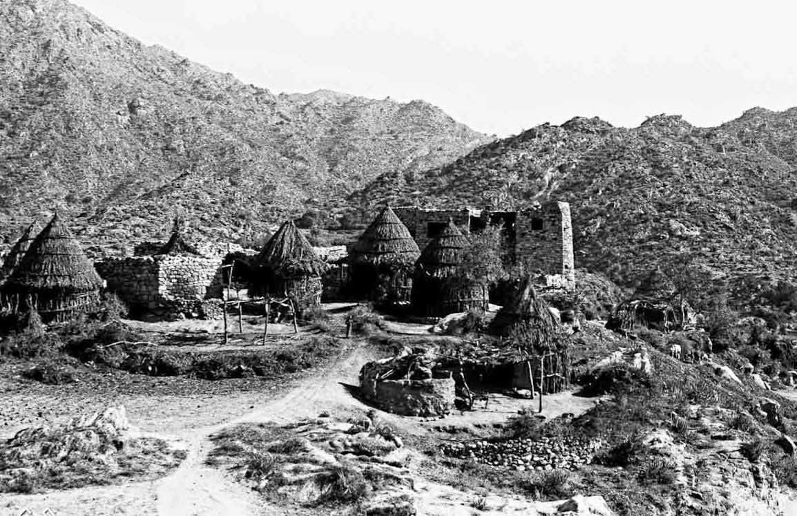 روحان tweet media