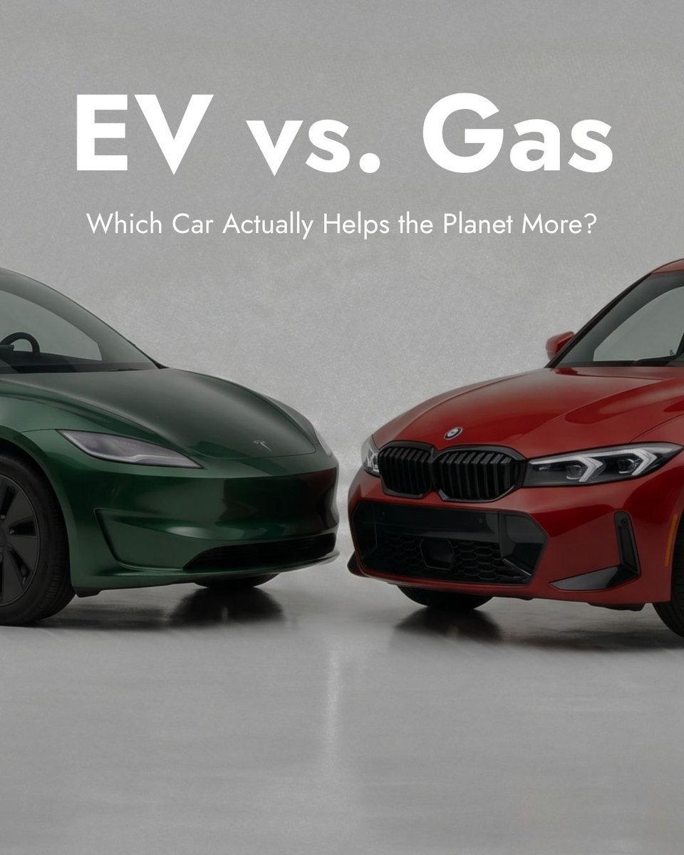 zevaglobal tweet media