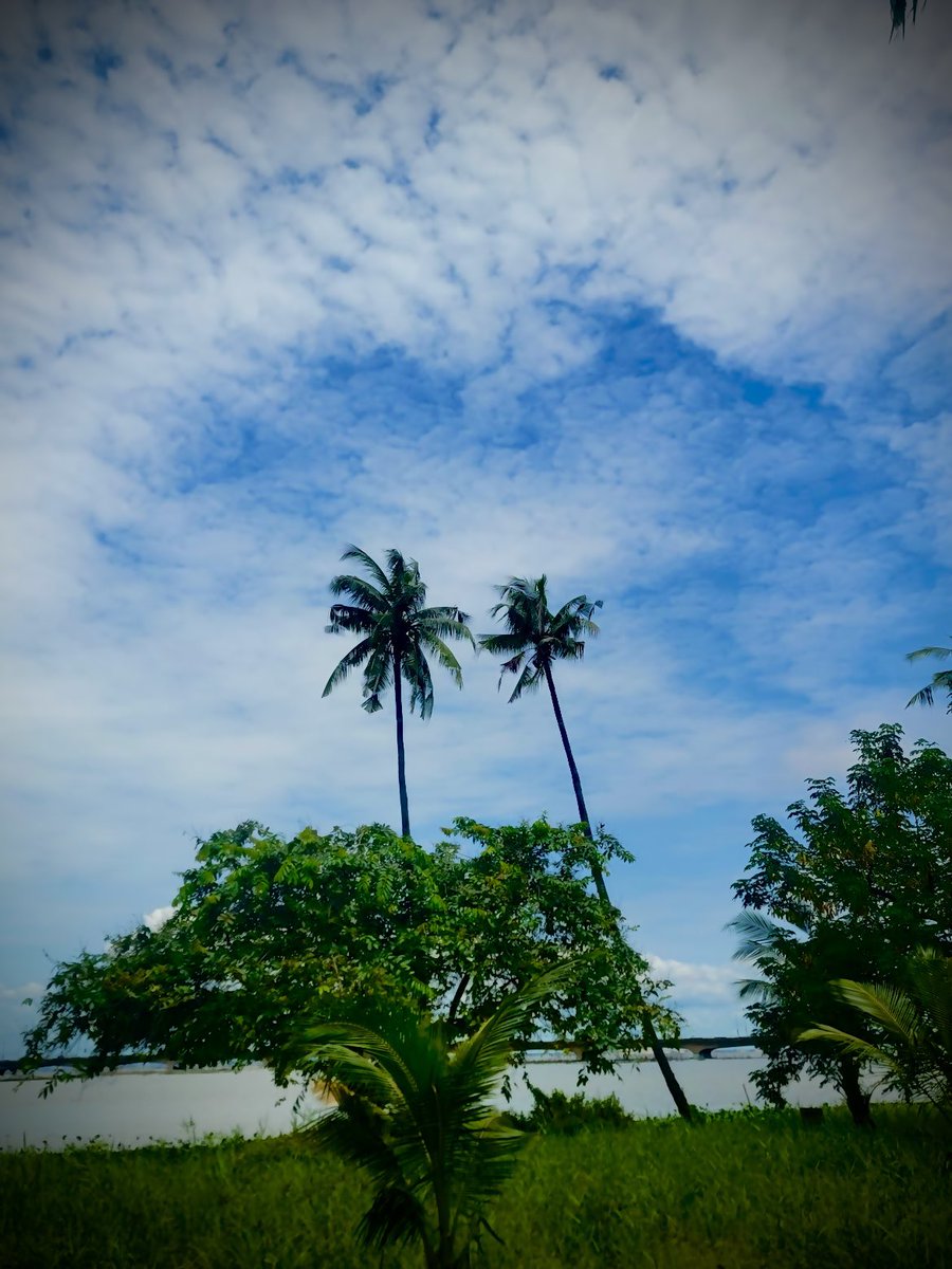 OluwaJoshua tweet media