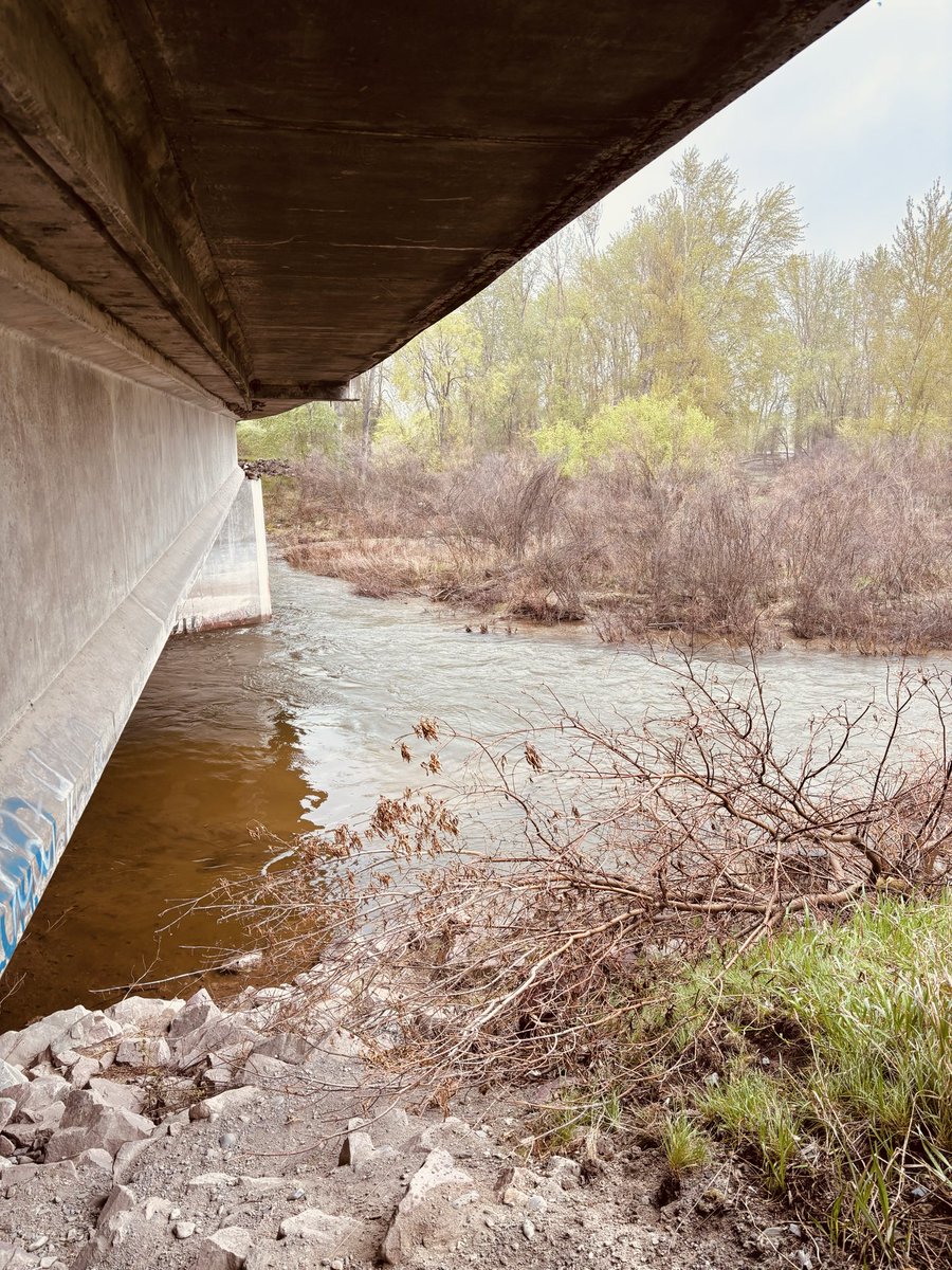 madpoet19's tweet image. Taking a break under the Reserve St bridge in #Missoula as it rains on trash cleanup day.  Tomorrow, what it looks like to win against local Homeless Industrial Complex narrative controllers #mtnews #mtpol