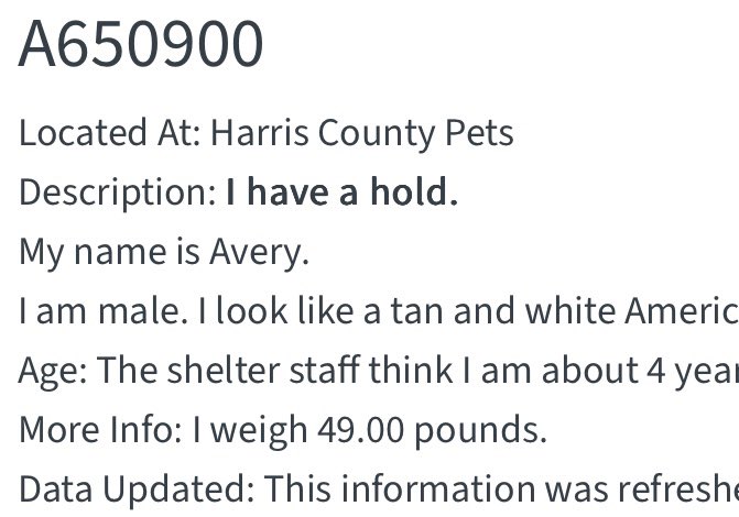 PawsnTails4TX's tweet image. 🙏🐾💙 AVERY has a temporary hold! AVERY needs an immediate Foster/Adopter NOW ‼️ If no one steps up the hold will drop and AVERY will be immediately killed ☠️ PLEASE KEEP SHARING HIM and consider fostering or adopting!
Houston #TX
#A650900