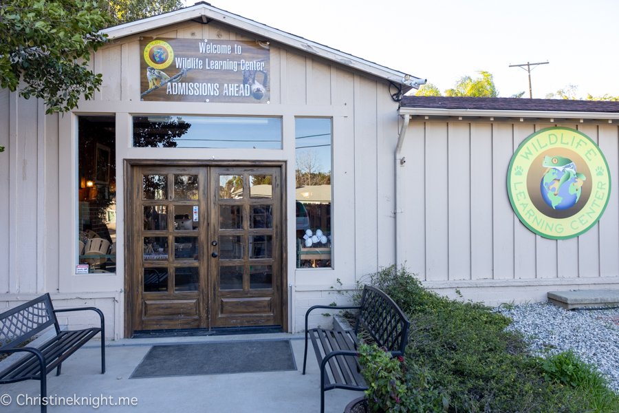 Disneyfan9523's tweet photo. Happy Earth Day Everyone. I'm Here At The Wildlife Learning Center In Sylmar Getting Ready To See Some Amazing Animals. #EarthDay #EarthDay2026 #WildlifeLearningCenter #Sylmar https://t.co/RaGLY9To0a