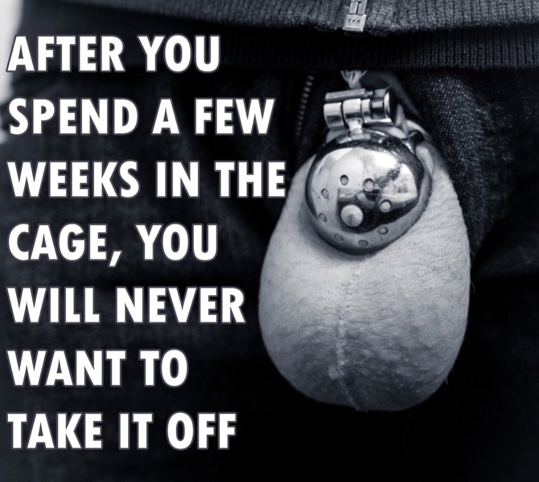 ⛓️Master Will⛓️ tweet media