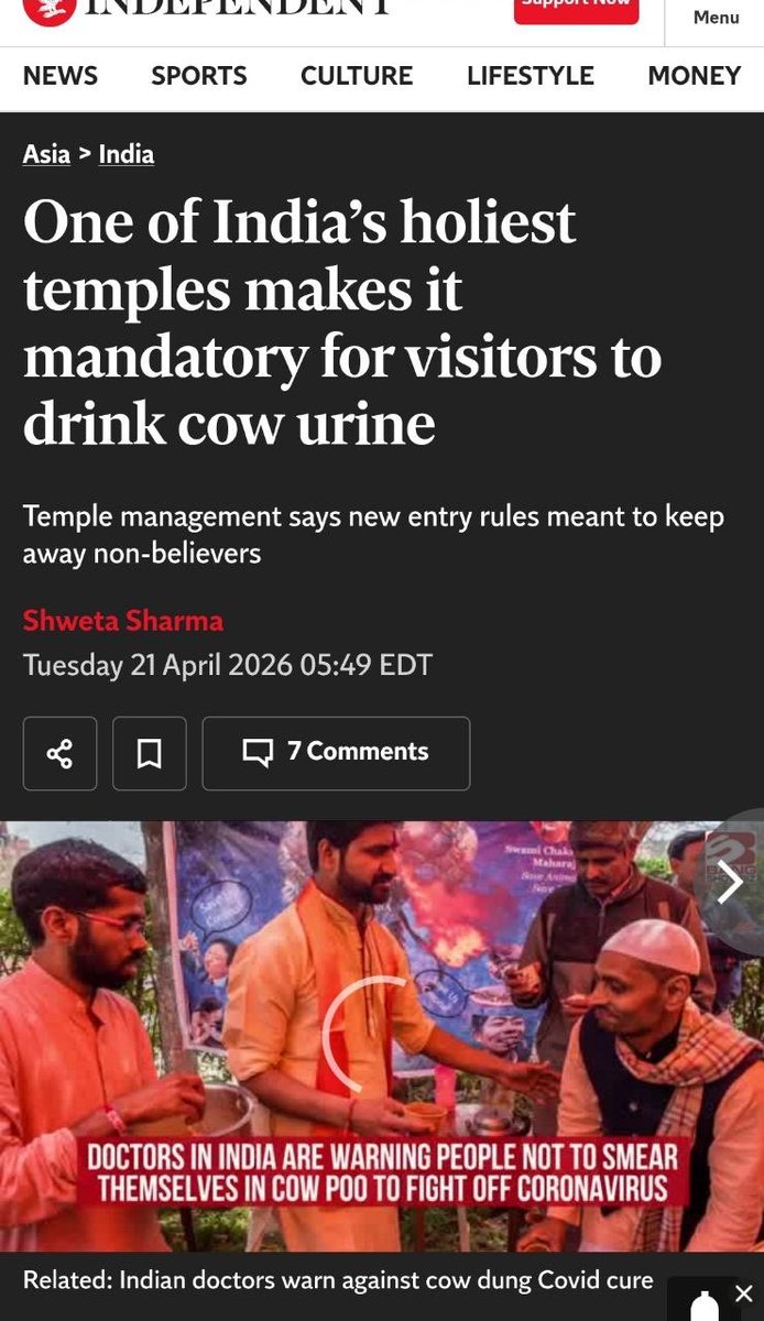 Owen Benjamin 🐻 tweet media