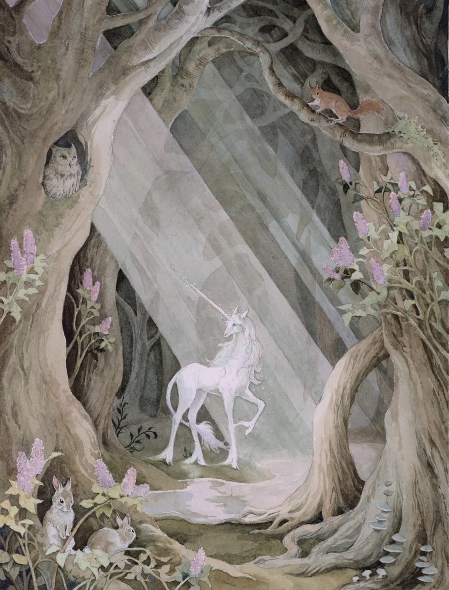 "What I want to do is travel deep and deeper into the dreamlands, to find that place that I know is waiting for me here. My home."

- Charles de Lint

🎨 Lily Seika Jones