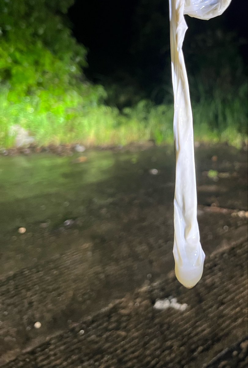 HW4sr's tweet photo. 下着大雨，户外没人，在车里可以放肆的喊着，
装满一整个套的精液。
2026 https://t.co/a8fP8qZNK2