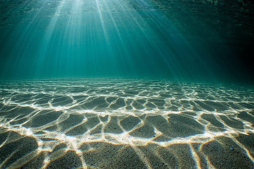 Edward Donoho tweet media