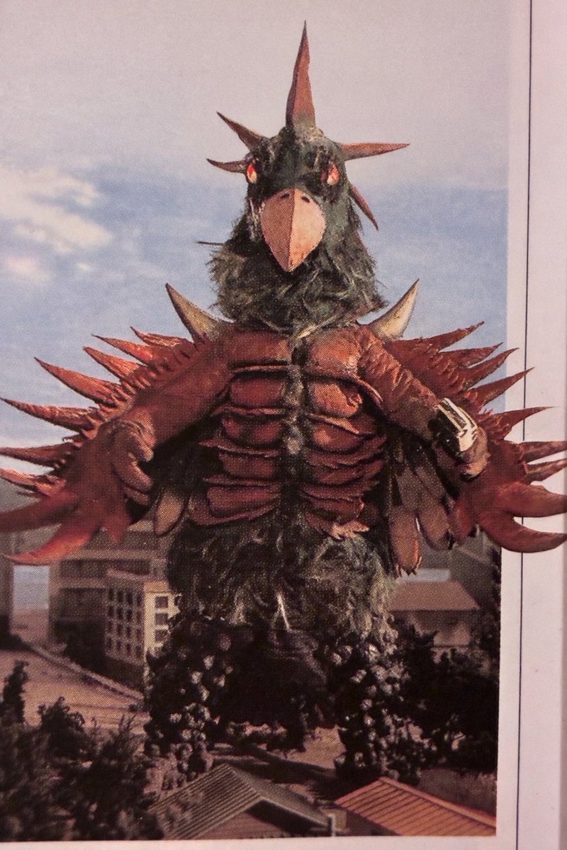 堀田尋史（とくお組） tweet media