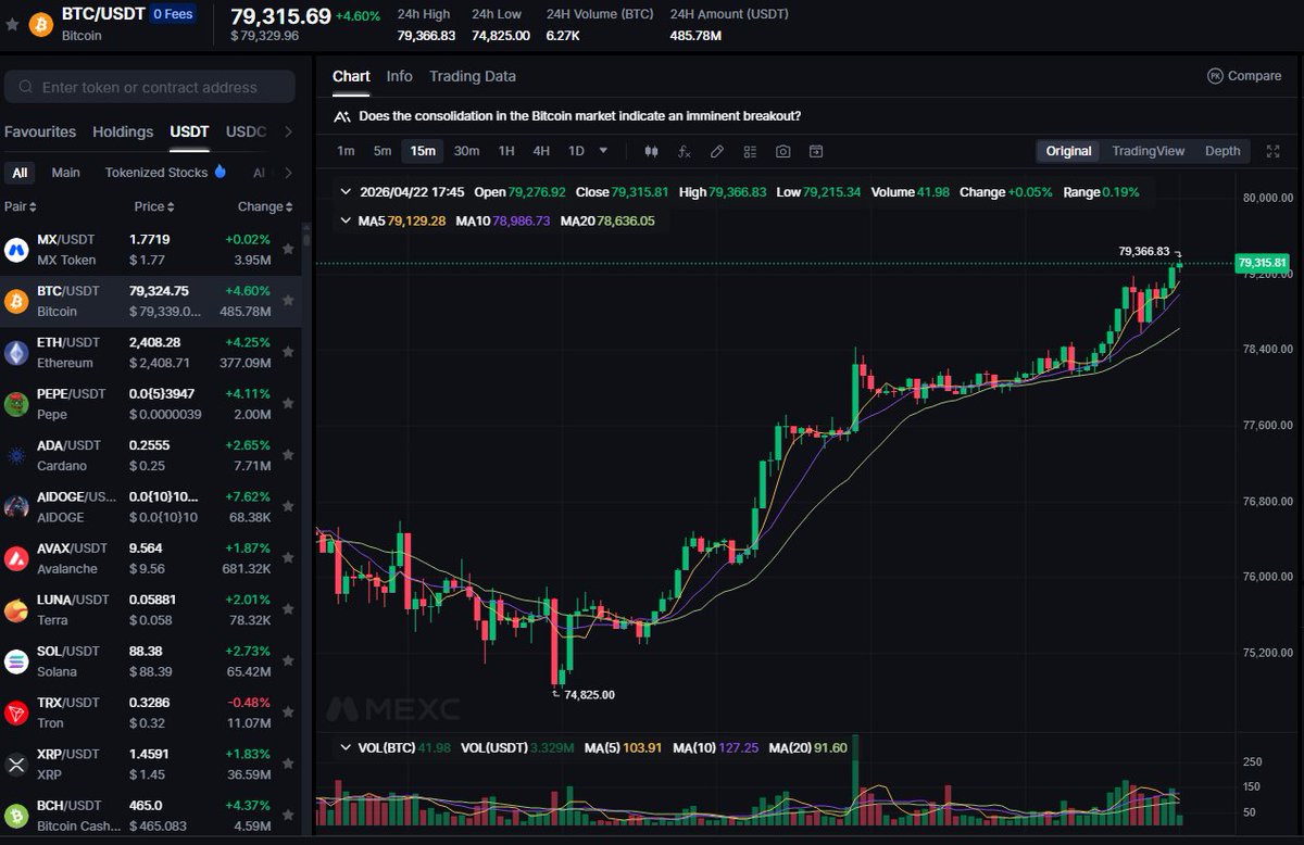 MonsieuRabbit tweet media