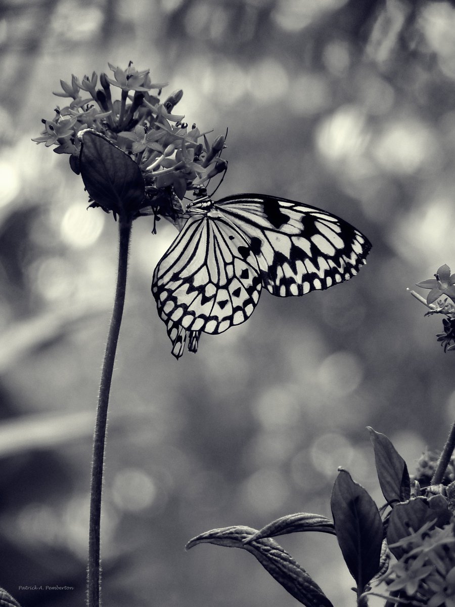 ArtByPemPhoto's tweet image. Hang On
 #WednesdayMotivation
patrickpemberton.level.press/s/you-keep-me-…
#photography #print #prints #printsforyourhome #homedecor