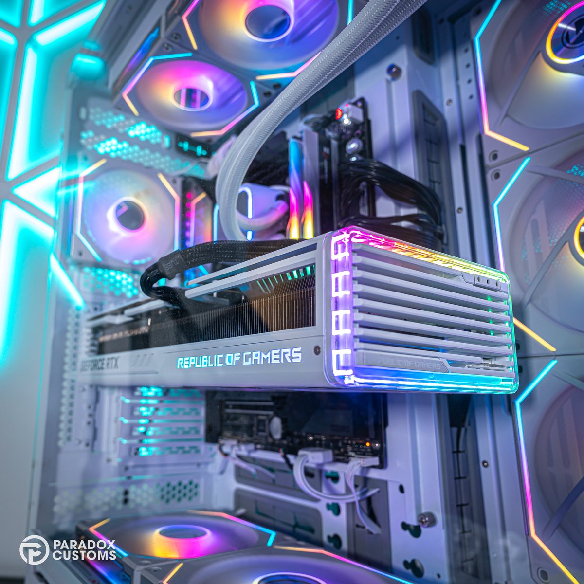 Paradox Customs tweet media