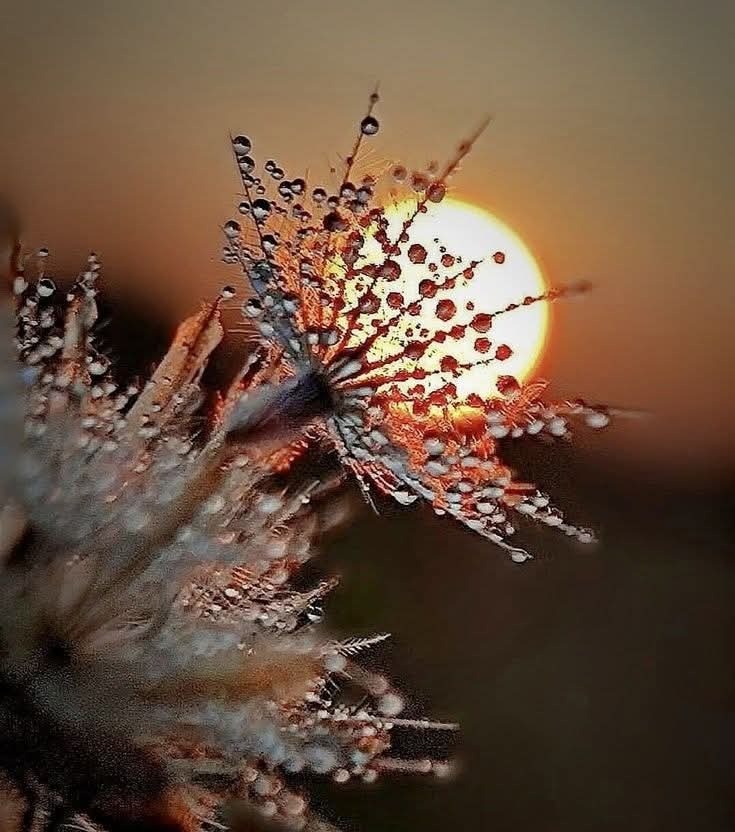 Hope comes in little things.