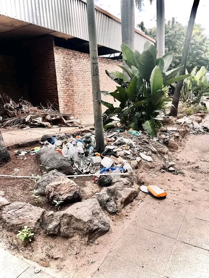 opsoek na liefde tweet media