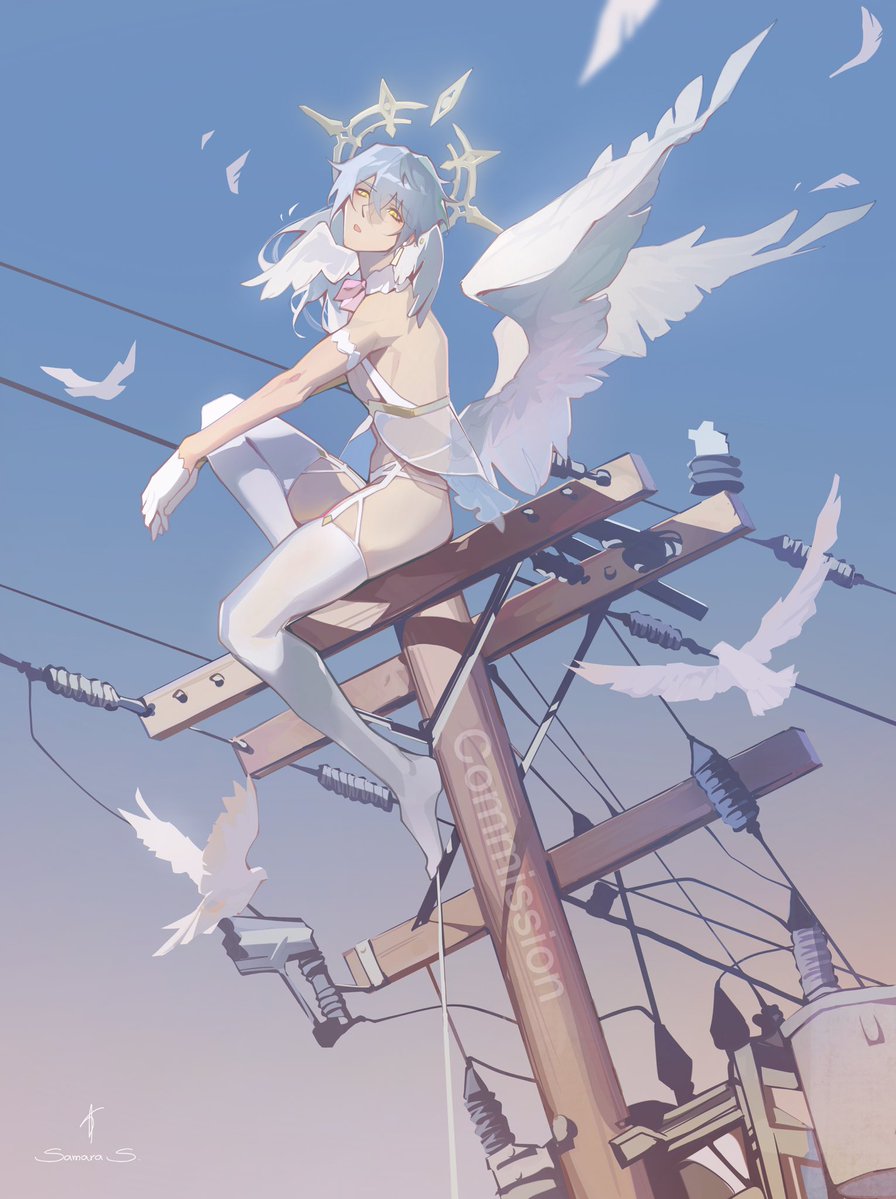 Sofia🪷 tweet media