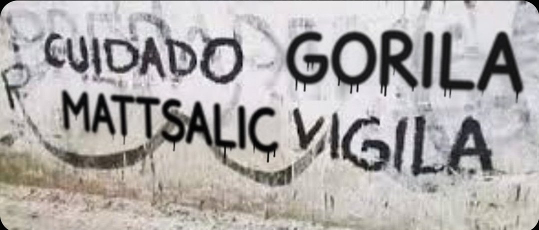 ElRestaurador77's tweet photo. @Vorterix https://t.co/cJd9Ocvsz2