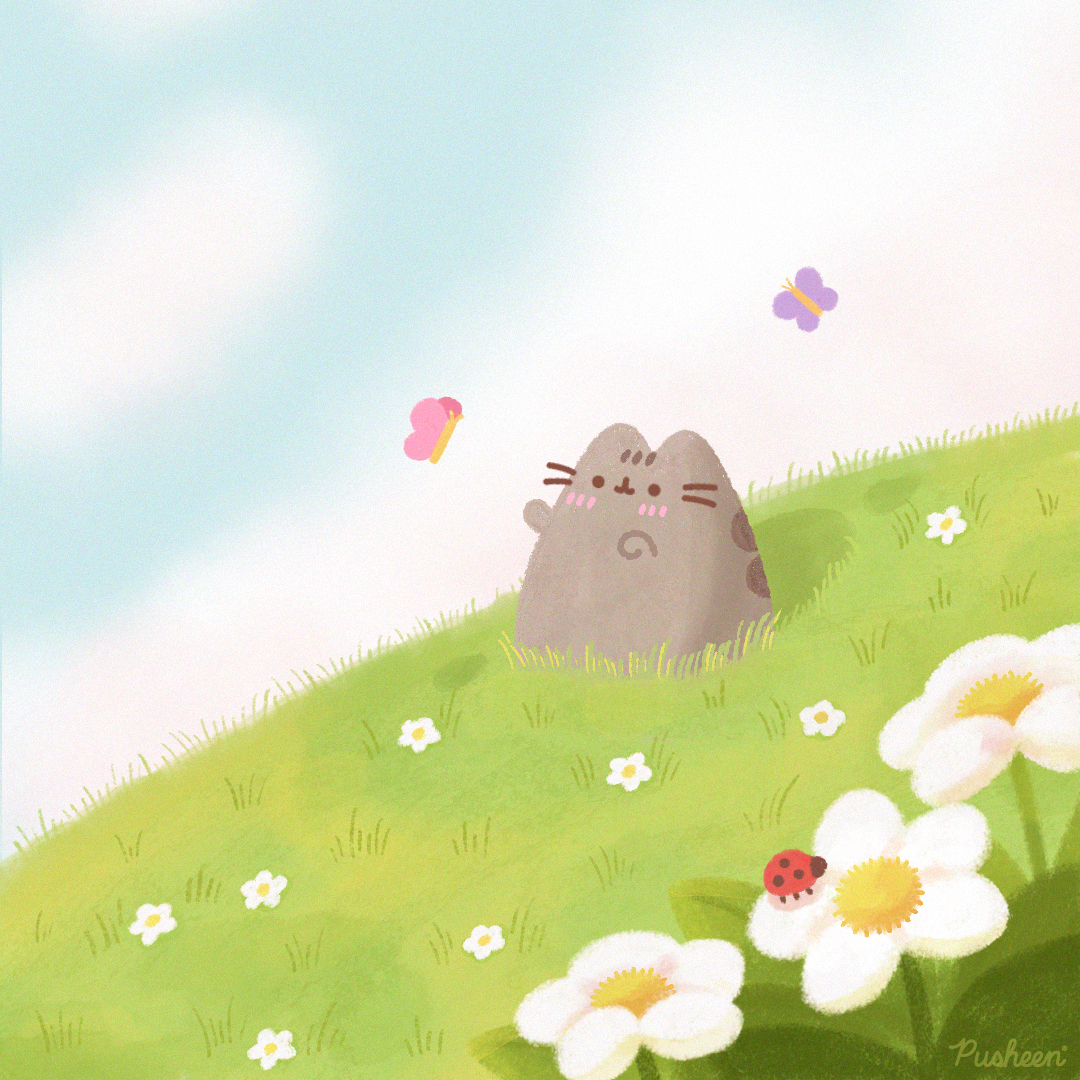 Pusheen the cat tweet media