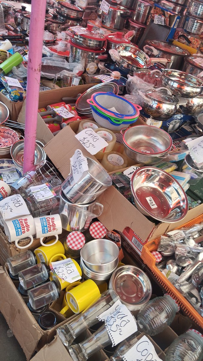 csargalagerock's tweet image. Camara @elwarpig !!!
Q generador de luz ocupas??
Para conseguirlo ahorita q andamos en el salado y escuchando #SalvameDiario. Saludos y q chido q ya están de vuelta @El_Gasper #SA🪖🫡