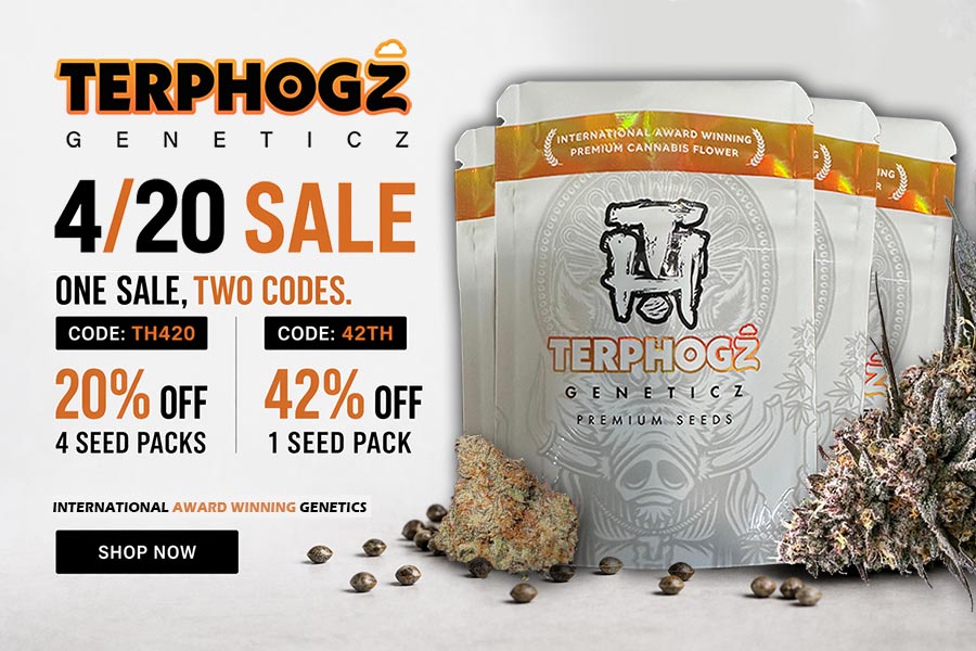 Terphogz Geneticz tweet media