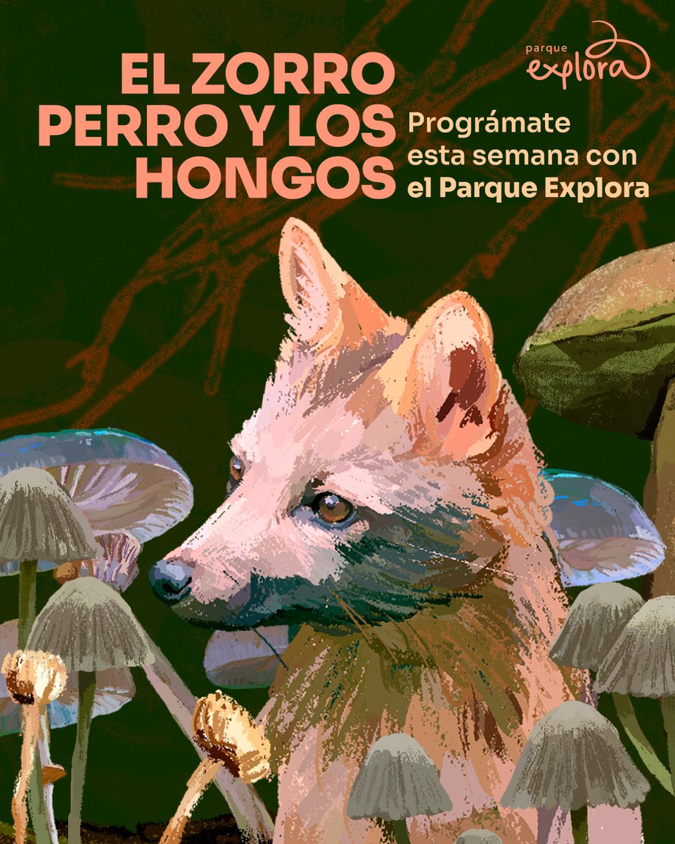 Parque Explora tweet media