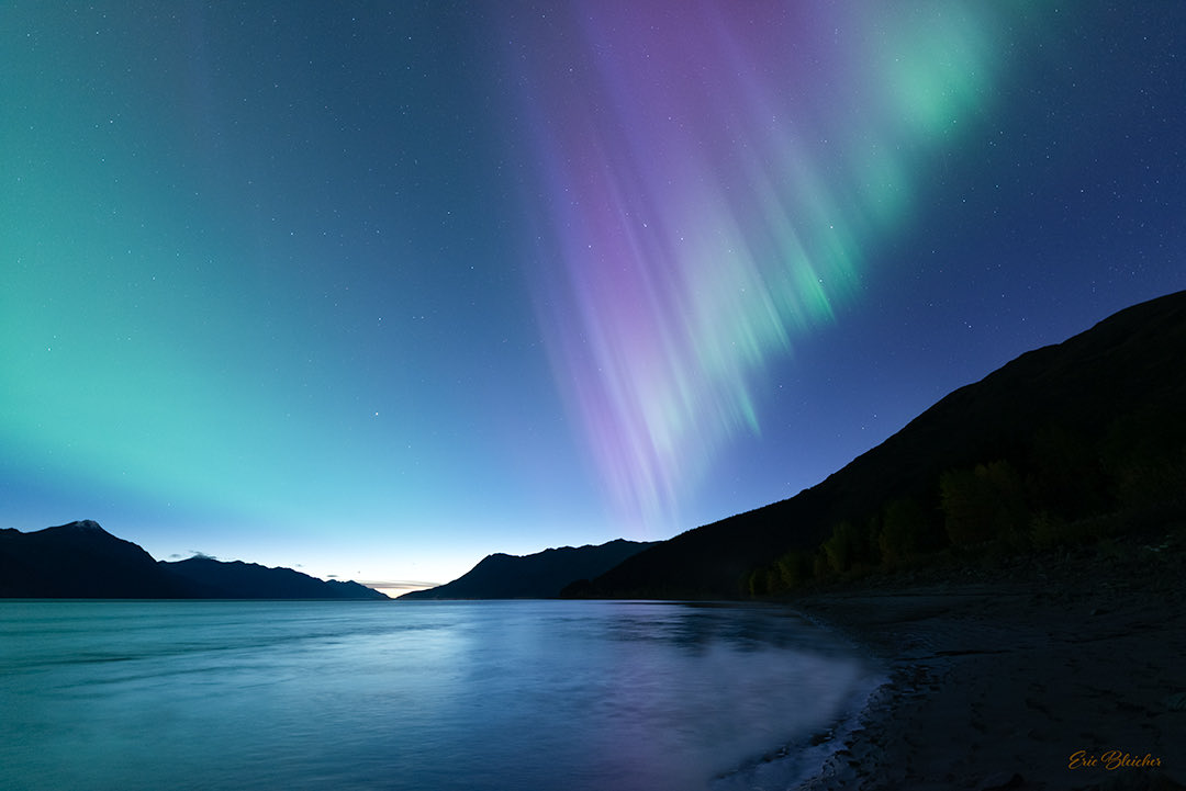 Eric Bleicher tweet media