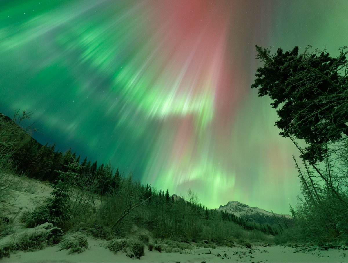 Eric Bleicher tweet media