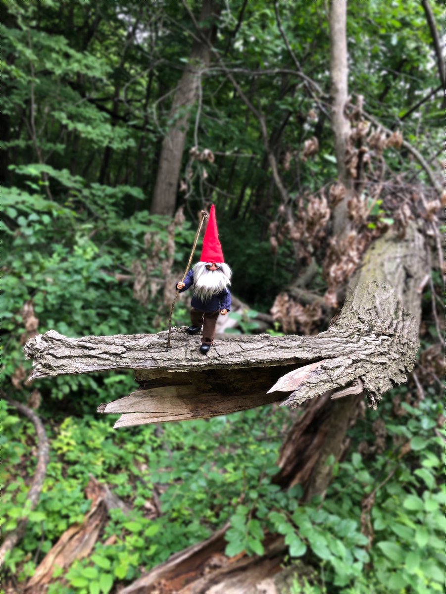 Greg the Sorcerer tweet media