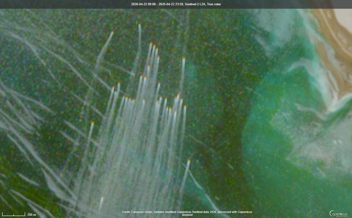 Current Report tweet media