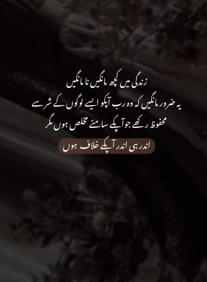 Meharsultan tweet media