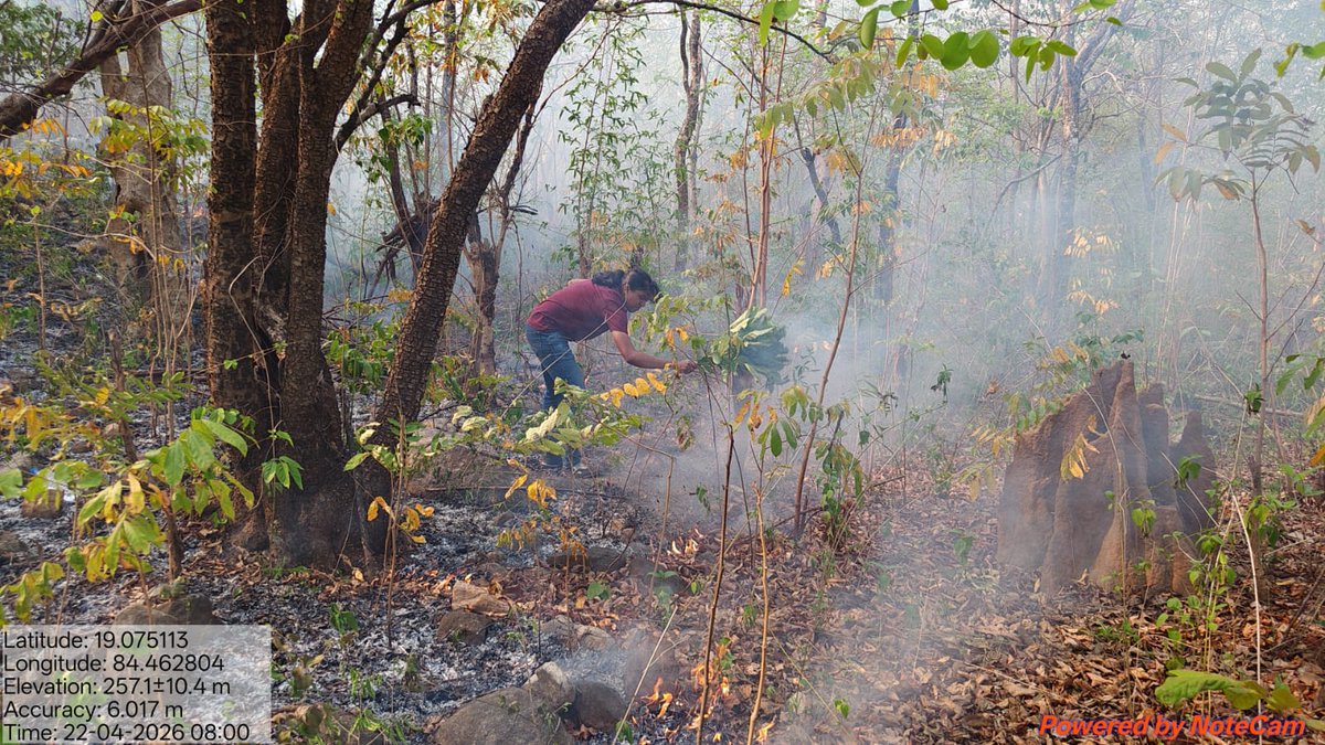 frospalli's tweet photo. Our forest fire teams have successfully reached and doused active fire points reported today. Prompt response is the key to minimizing damage to wildlife and flora. https://t.co/zdQBm3Gres