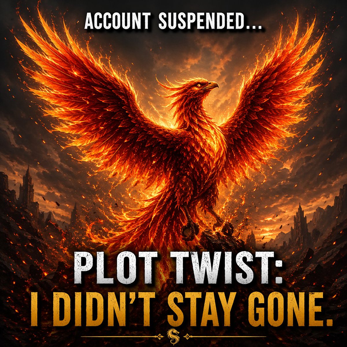 Donna Sundblad tweet media