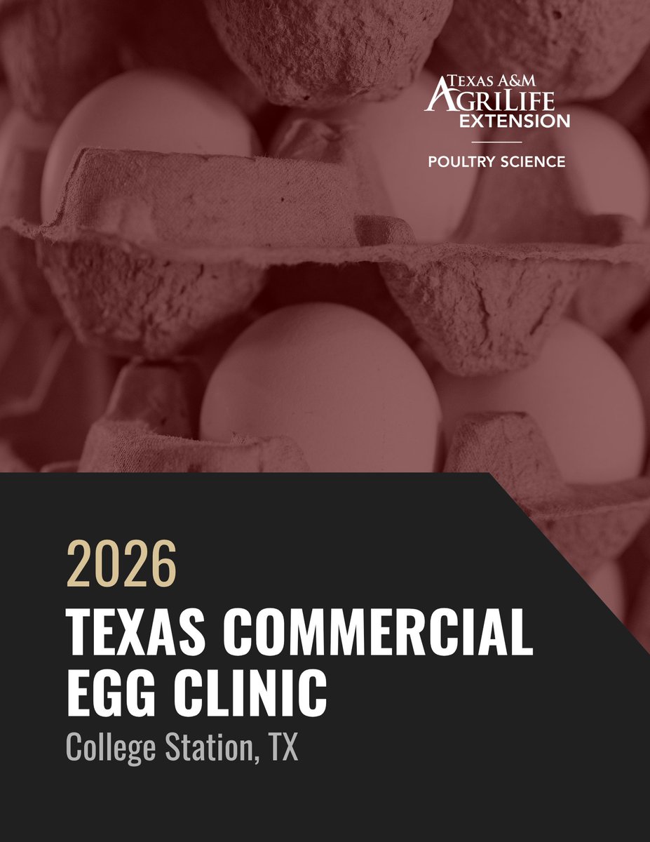 TAMUPOSC's tweet photo. 🥚Texas Commercial Egg Clinic
📆 May 13, 2026
📍 College Station, TX
🔗 https://t.co/RSkBZ1Sd3p https://t.co/0cYMadnvlY