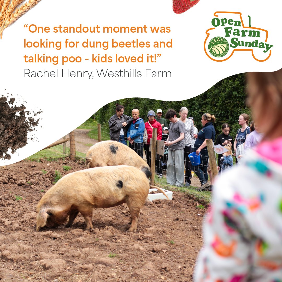 OpenFarmSunday's tweet image. Every farm has something special to share so why not make your own WOW moments on 7 June?

Feeling inspired? Then don’t forget to register your Open Farm Sunday event to take part!
 #WOWWednesday #OFS26