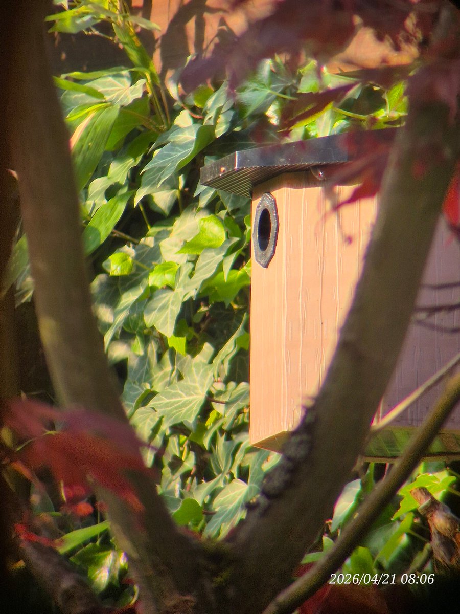 兰德里尼 tweet media