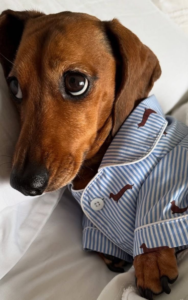 เก้ารัญชน์ tweet media