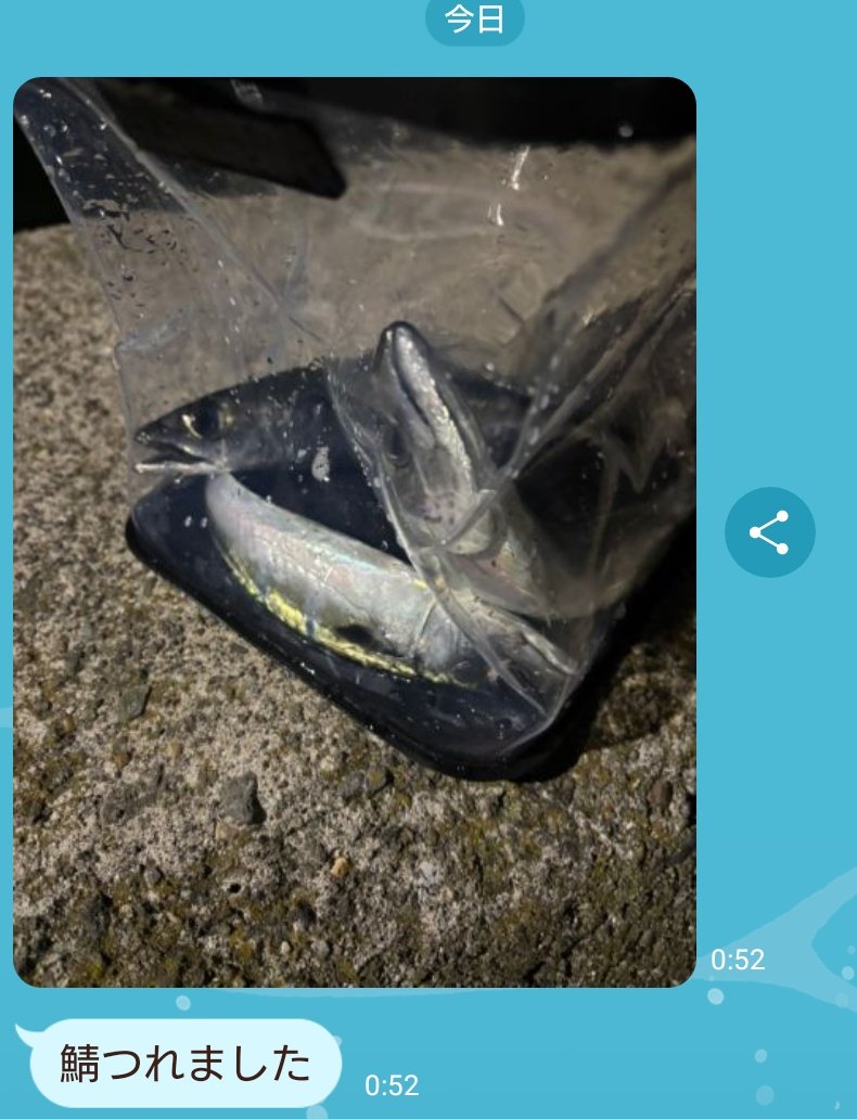 こんな深夜に突然スタッフからLINE来てなんだ！！？？と思ったら
「鯖釣れました」って報告だった。

可愛いかよ。