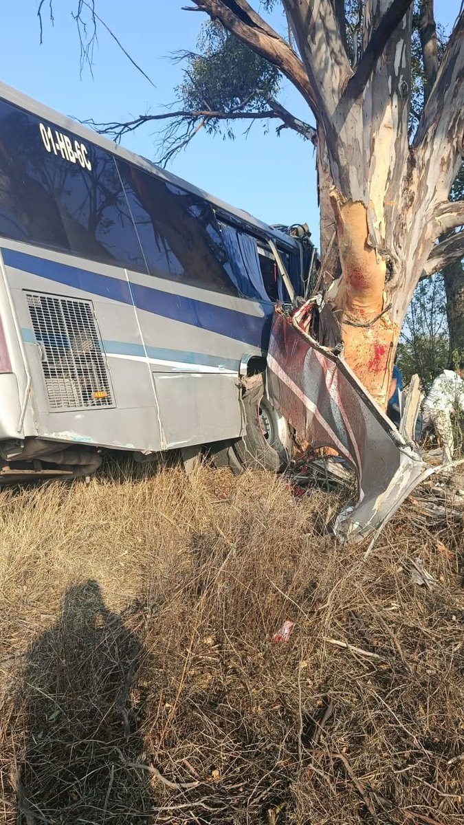 RomerMX's tweet photo. 🚨 Fatal accidente en la carr. estatal 310, Amealco. Autobús impacta contra árbol en La Muralla; reportan preliminarmente 3 fallecidos y 20 lesionados.#Amealco #Querétaro #Accidente

@POES_Qro @PCIVILQRO @Qro_Trafico @ssm_amealco @pcqro @diariodeqro 
@noticiasdeqro @SSPMQueretaro https://t.co/mv5slLVAbD