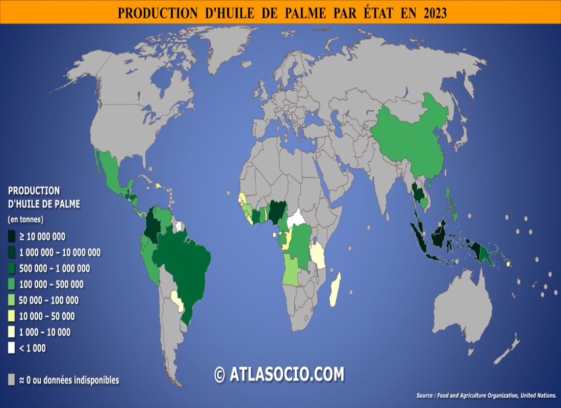 AtlasocioCom's tweet photo. 🌍 L’huile de palme domine la production mondiale d’huiles végétales, largement concentrée en Asie du Sud-Est. Un enjeu à la fois économique et environnemental. 

🗺️ Carte du monde https://t.co/5jXqNBjpFG
📊 Classement mondial https://t.co/MLyMybomZm 

#PalmOil #Géographie https://t.co/fyuOZdemKC