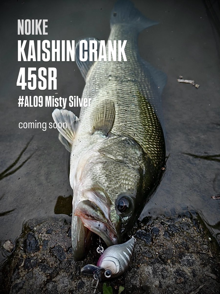 NOIKEmarketing's tweet photo. NOIKE
KAISHIN CRANK 45SR
#AL09 Misty Silver

coming soon

#NOIKEマーケティング
https://t.co/16FYkCArjB https://t.co/NHufgAP8Pa