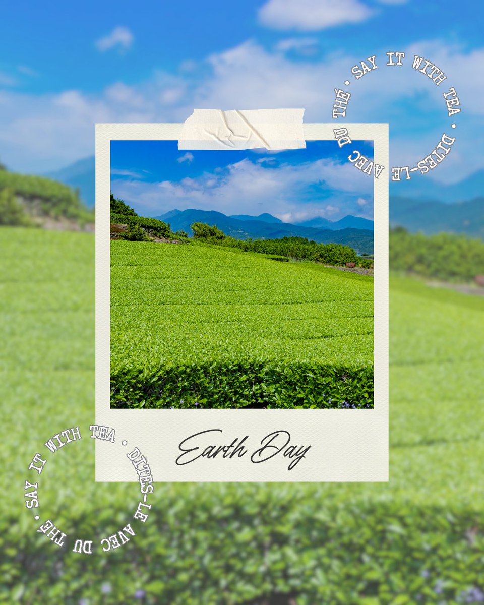 CanadaTea's tweet photo. Happy #EarthDay! From the lush tea gardens to your teacup, every sip is a reminder of the earth's abundance and the importance of sustainability. Let's #sayitwith tea and raise our cups in gratitude and commitment to protecting our precious home.
#springharvesttea #brewcrew https://t.co/6LJhRiyMEt
