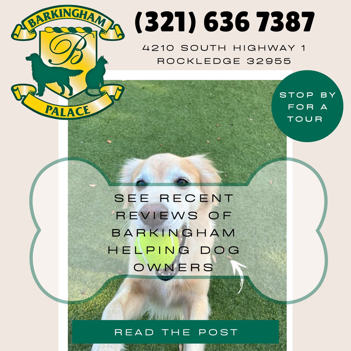 BarkinghamPala's tweet image. Reviews Guide Better Pet Care Decisions
Choosing the right care, products, or services can feel overwhelming.

#dogservices #dogdaycare

Read More Here!
barkingham.com/reviews-of-bar…