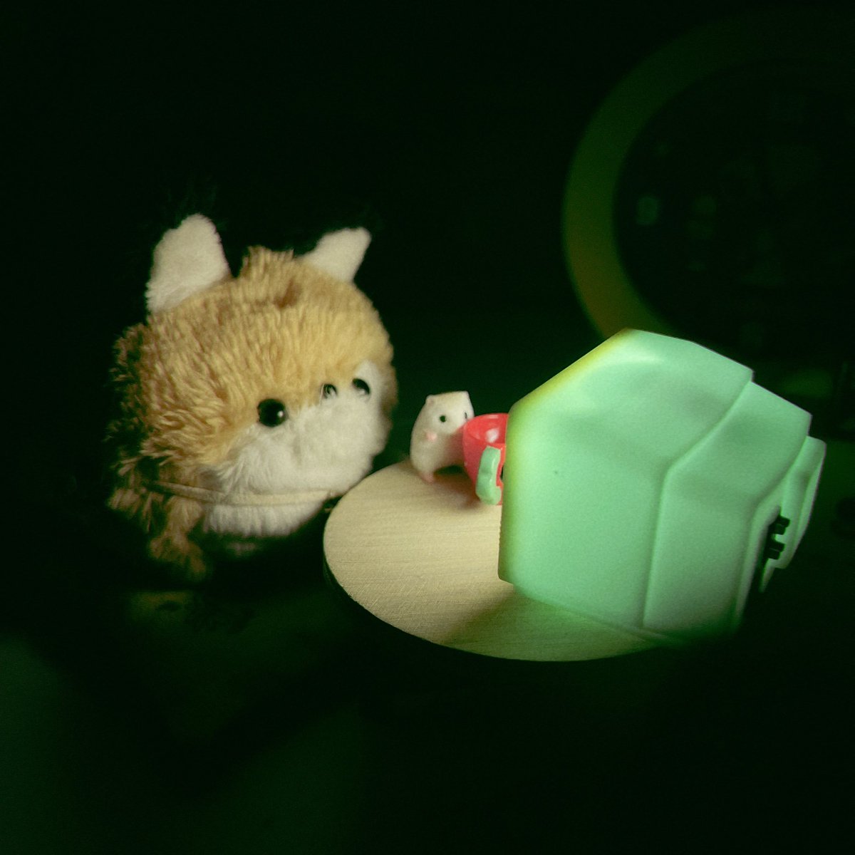 よんぬ. tweet media